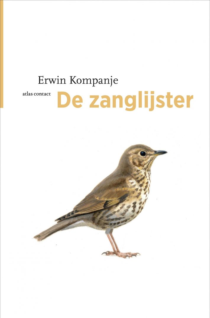 De zanglijster