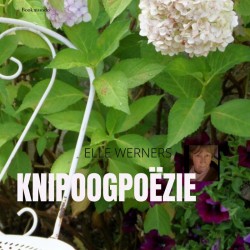 KNIPOOGPOËZIE