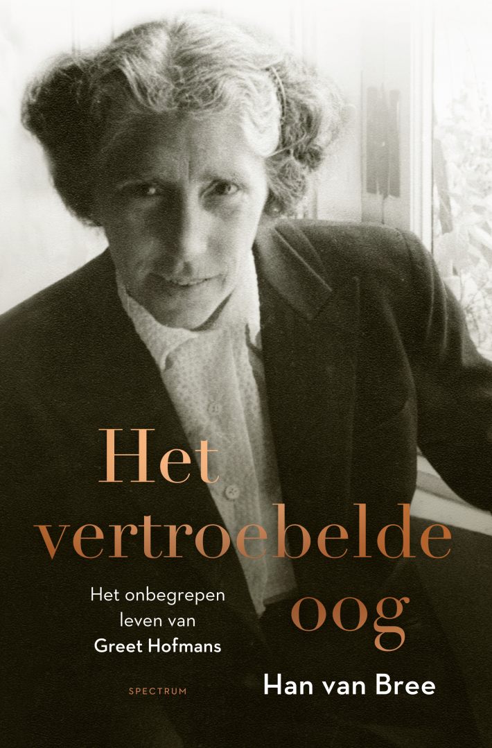 Het vertroebelde oog • Het vertroebelde oog