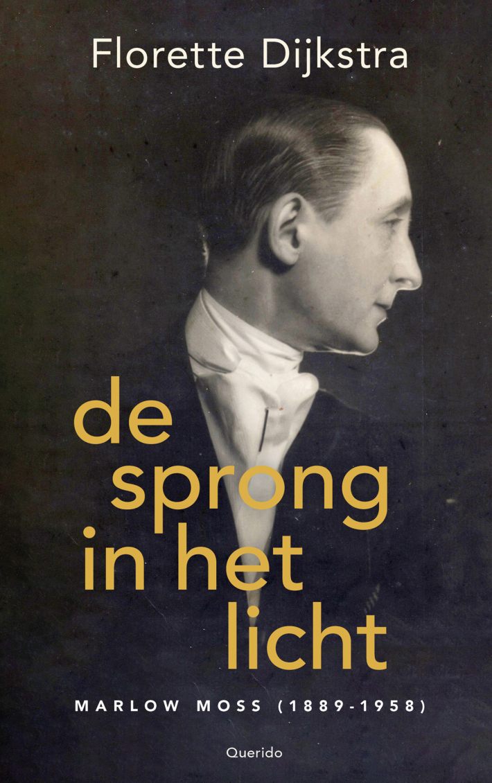 De sprong in het licht