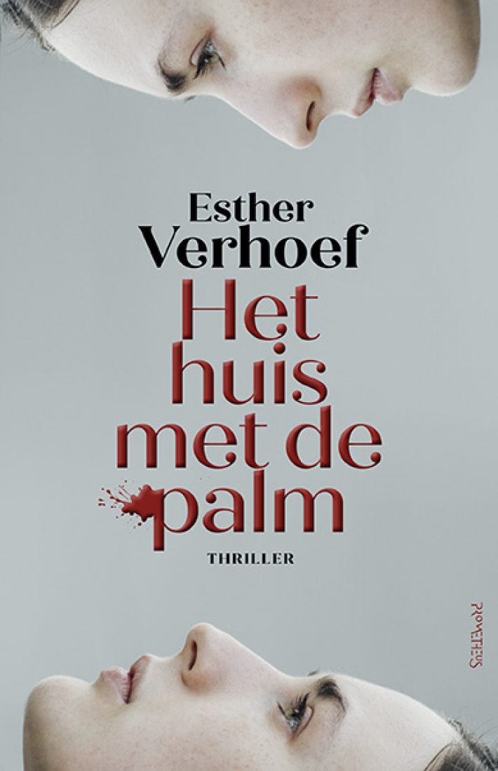 Het huis met de palm