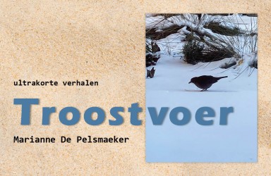 Troostvoer