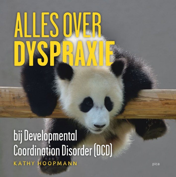 Alles over dyspraxie