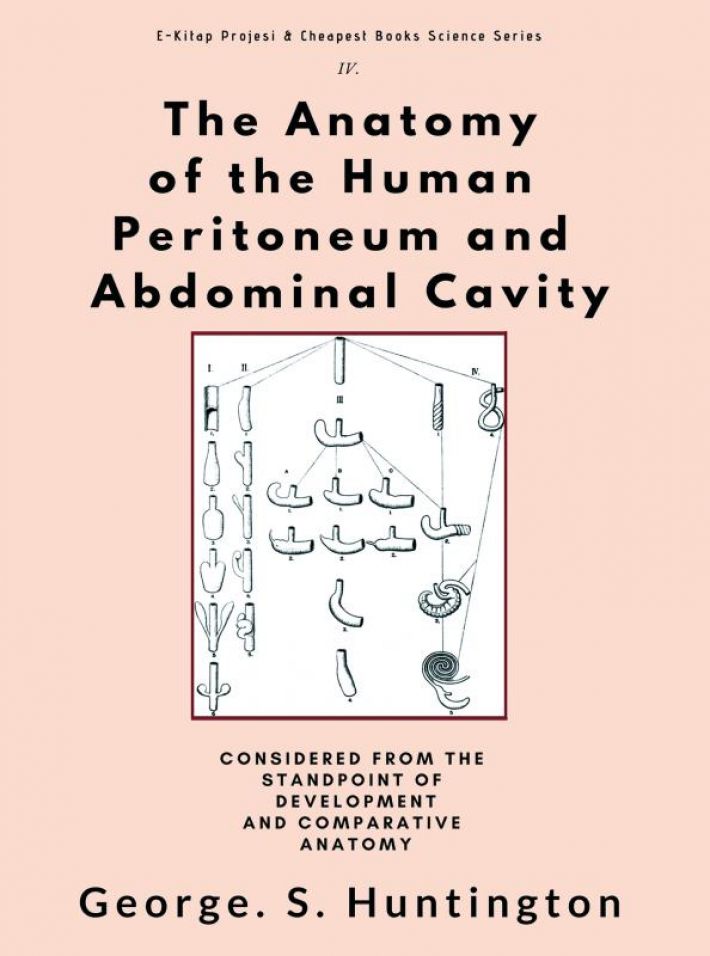 The Anatomy of the Human Peritoneum and Abdominal Cavity