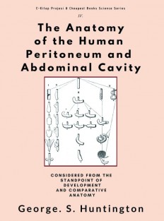 The Anatomy of the Human Peritoneum and Abdominal Cavity