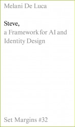 Steve: A Framework for AI and Identity Design