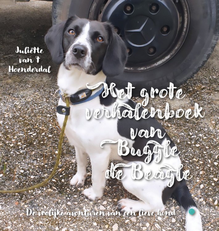 Het grote verhalenboek van Buggle de Beagle