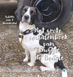 Het grote verhalenboek van Buggle de Beagle