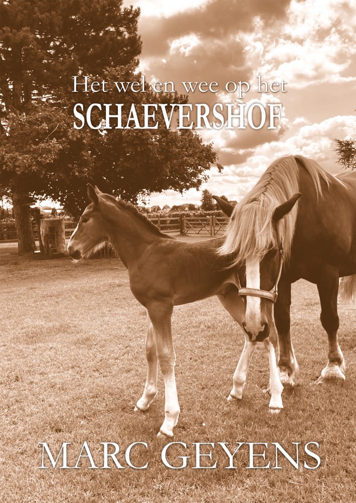 Het wel en wee op het Schaevershof
