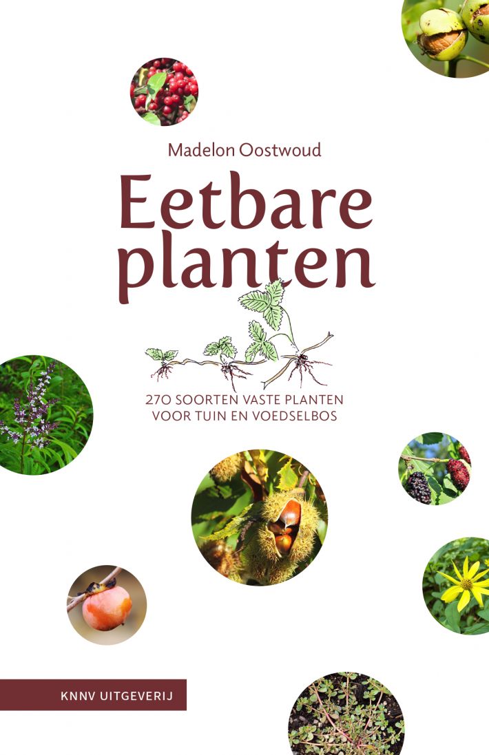 Eetbare planten