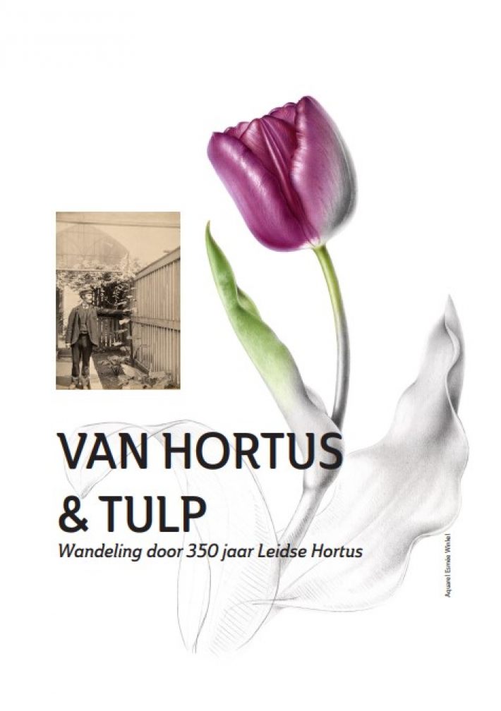 Van Hortus & tulp