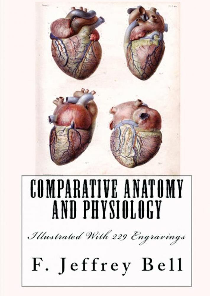 Comparative Anatomy and Physiology