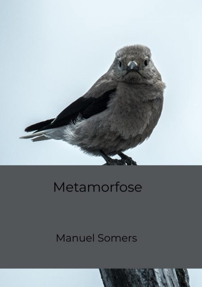 Metamorfose