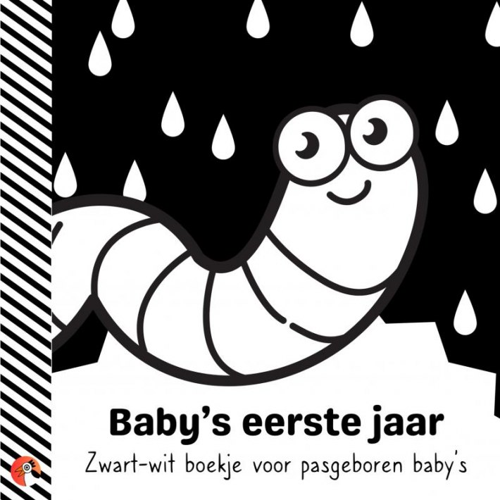 Baby's eerste jaar