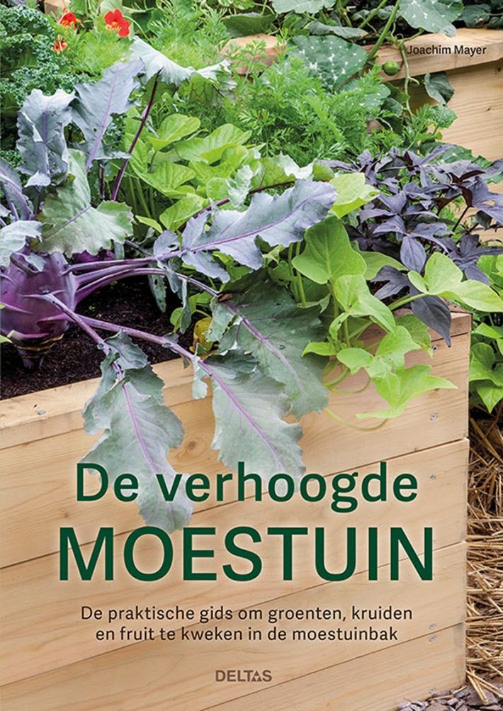 De verhoogde moestuin