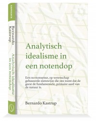 Analytisch idealisme in een notendop