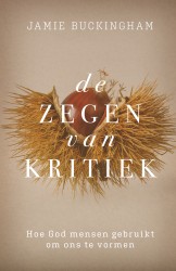 Zegen van kritiek, De