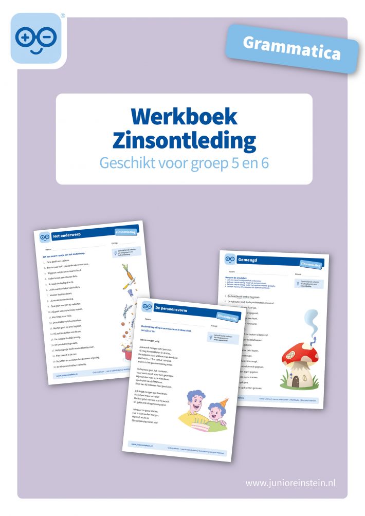 Zinsontleding Werkboek Grammatica voor groep 5 en 6