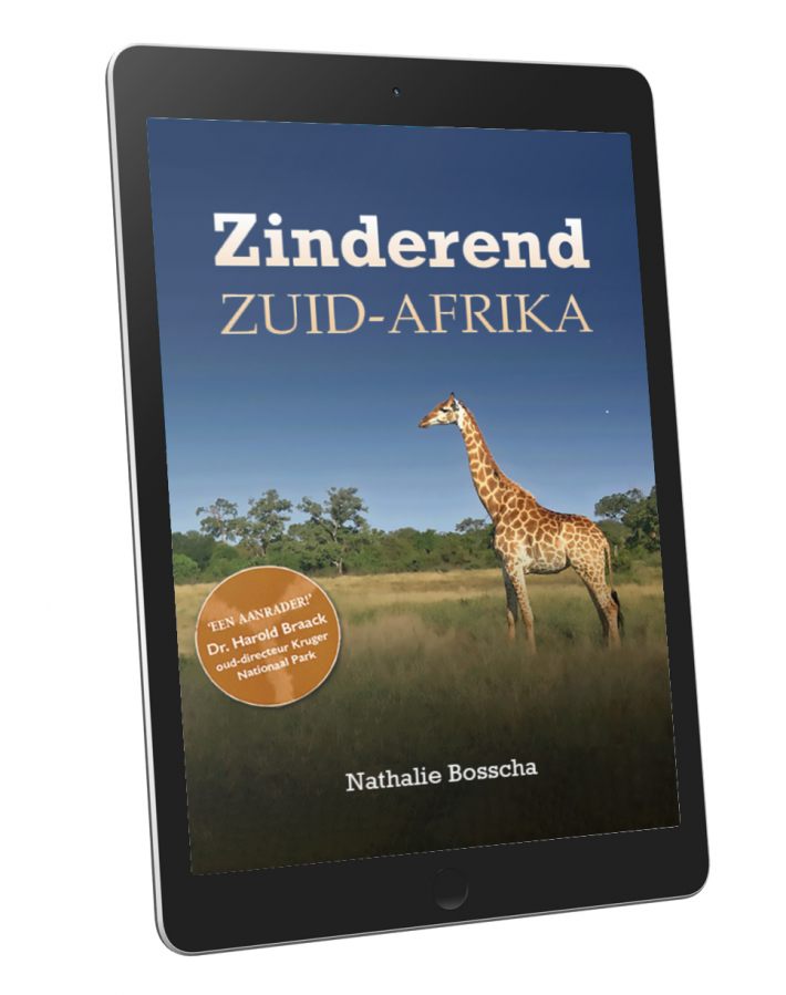 Zinderend Zuid-Afrika