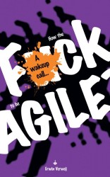 How the fuck to be agile?