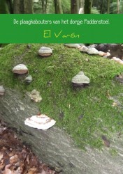 De plaagkabouters van het dorpje Paddenstoel