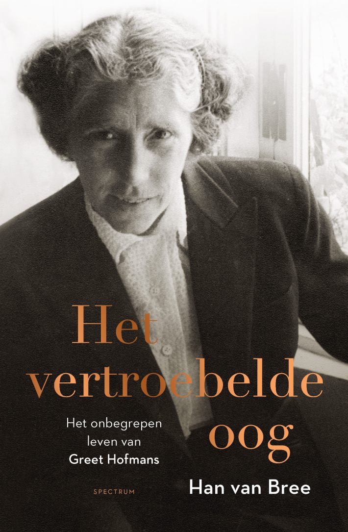 Het vertroebelde oog • Het vertroebelde oog