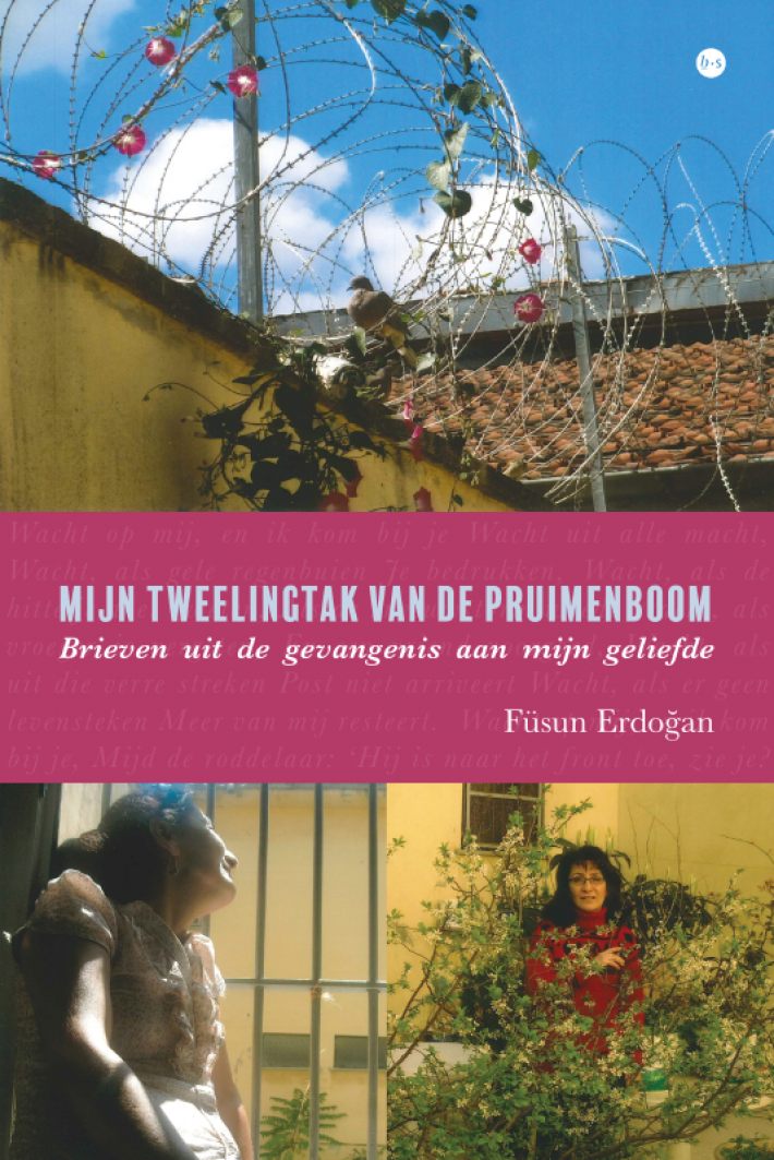 Mijn tweelingtak van de pruimenboom