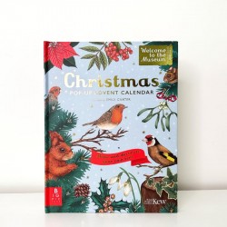Welcome to the Museum: A Christmas Pop-Up Advent Calendar