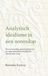 Analytisch idealisme in een notendop