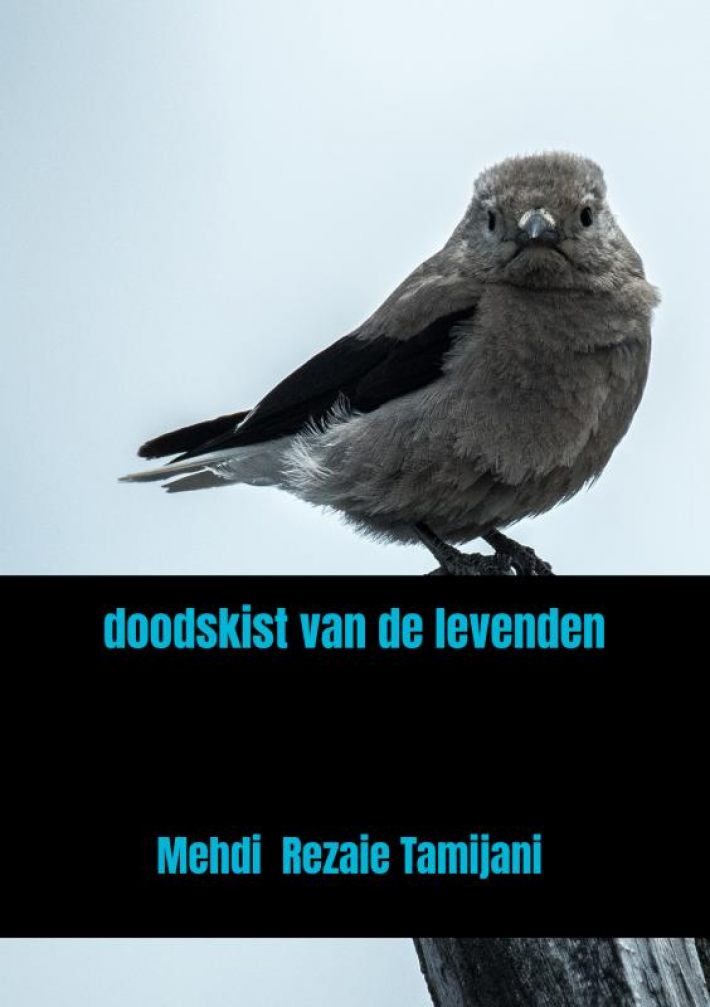 doodskist van de levenden