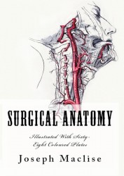 Surgical Anatomy