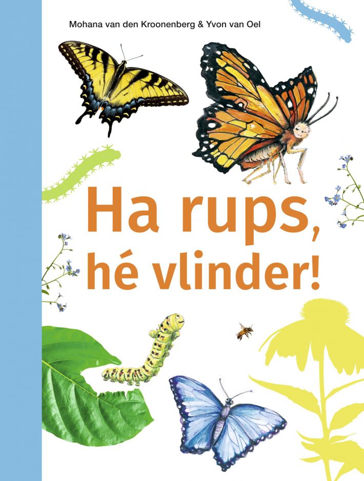 Ha rups, hé vlinder!