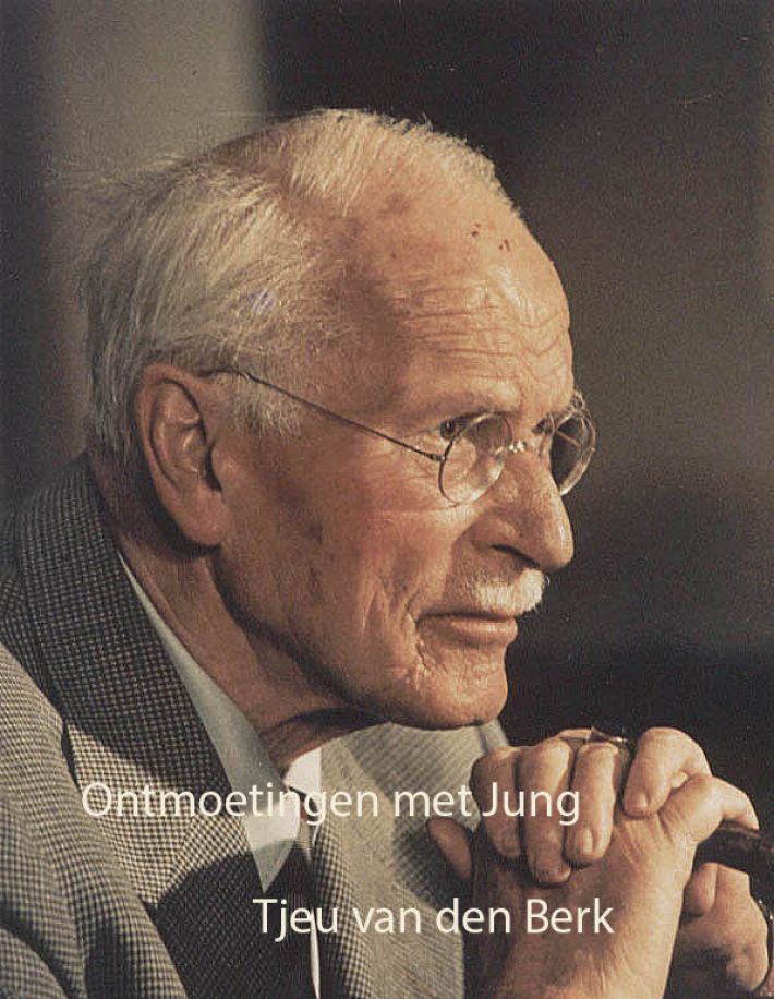 Ontmoetingen met Jung