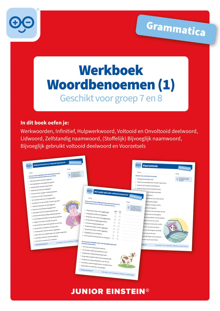 Grammatica Woordbenoemen 1