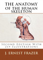 The Anatomy of the Human Skeleton