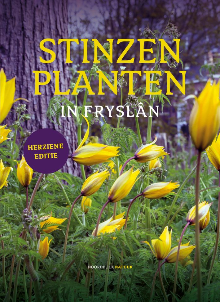 Stinzenplanten in Fryslân