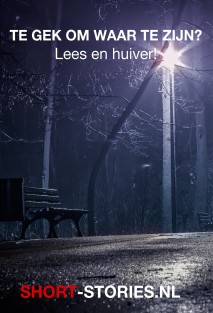 Te gek om waar te zijn?