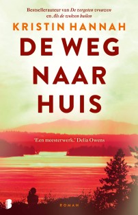 De weg naar huis