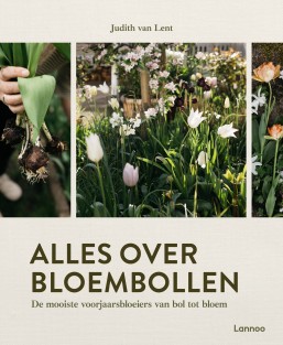 Alles over bloembollen