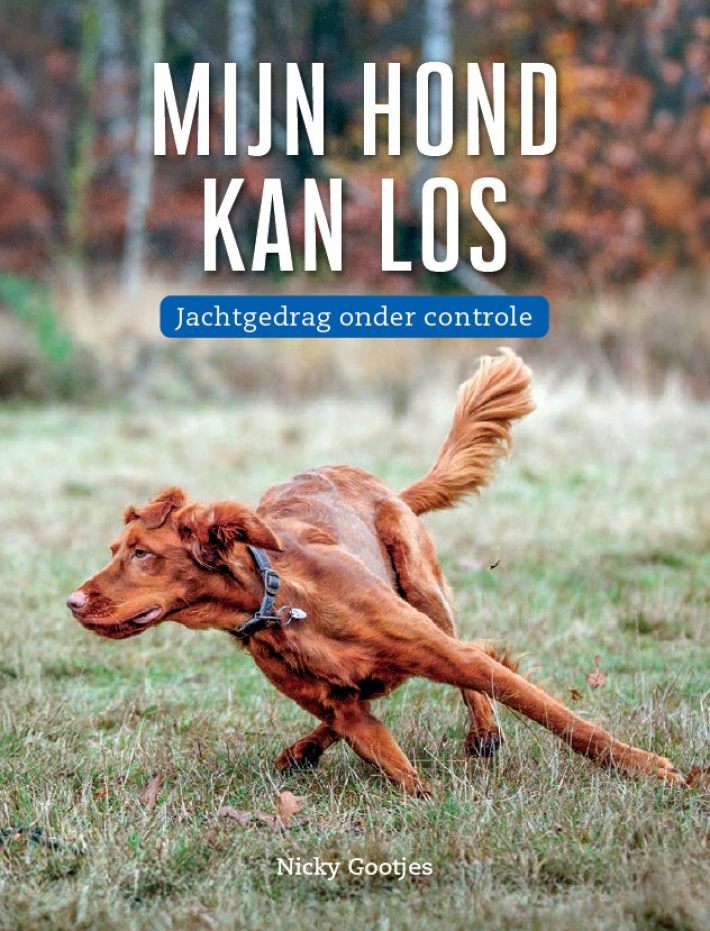 Mijn hond kan los; jachtgedrag onder controle