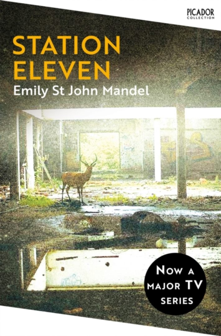 Station Eleven : the immersive, evocative bestselling modern classic : Picador Collection
