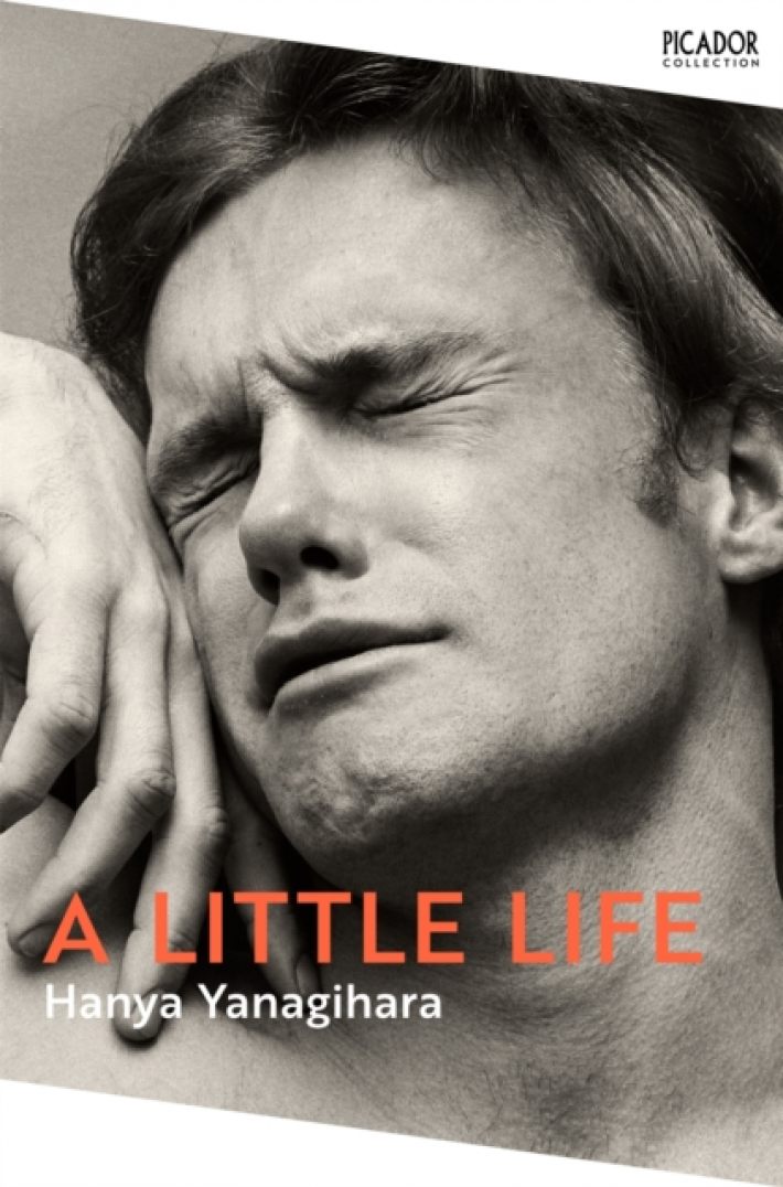 A Little Life : The Million-Copy Bestseller : Picador Collection