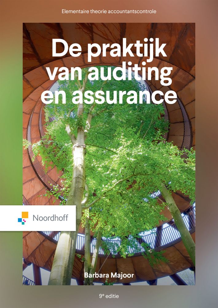 De praktijk van auditing en assurance - 9e editie