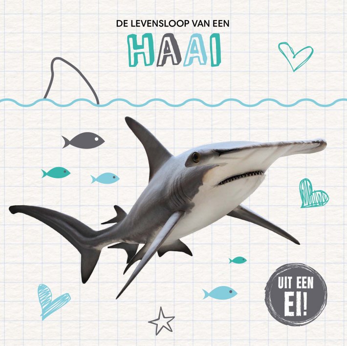 De levensloop van een haai