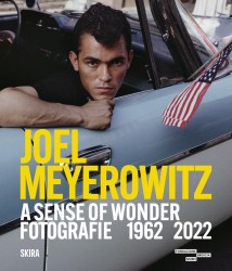 Joel Meyerowitz (Bilingual edition)