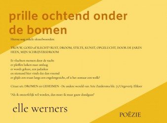 PRILLE OCHTEND ONDER DE BOMEN