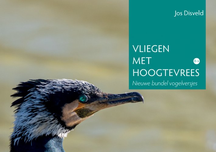 Vliegen met hoogtevrees