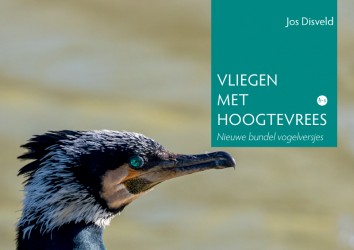 Vliegen met hoogtevrees