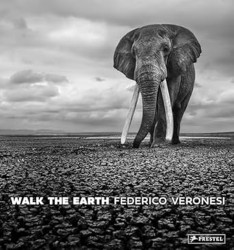 Walk the Earth