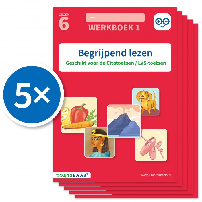 Begrijpend lezen werkboek 1 (Set van 5)